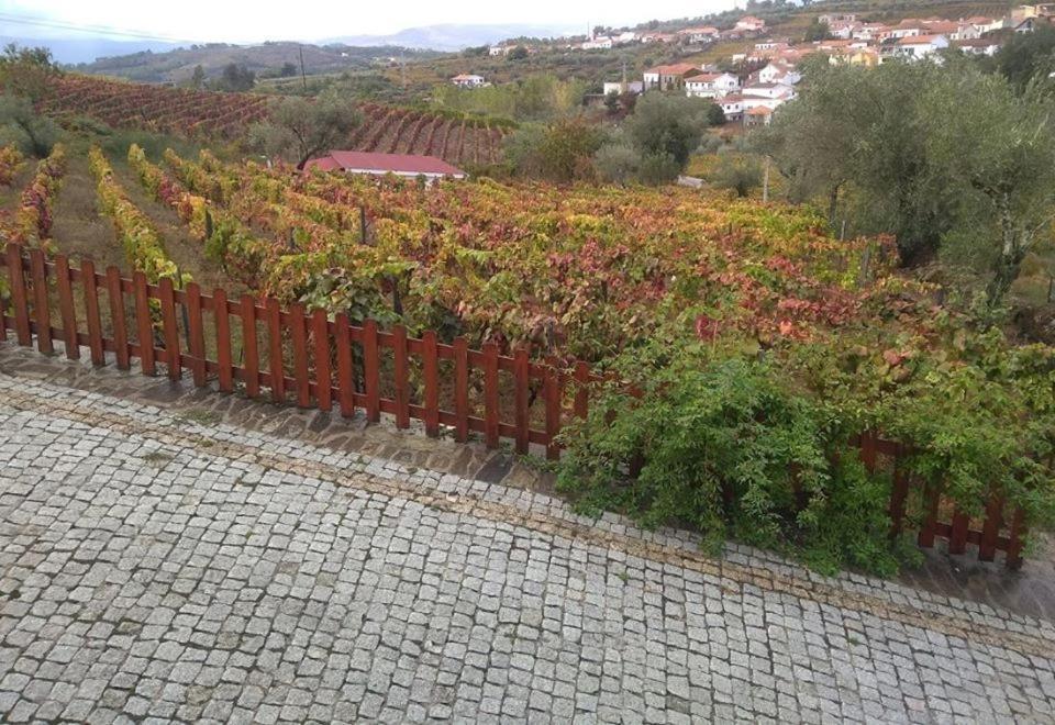 Casa Do Poço - Douro *
